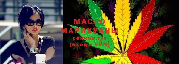 индика Снежногорск