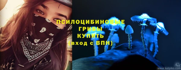 МДПВ Семёнов