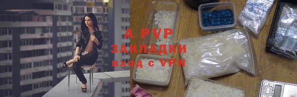 индика Снежногорск