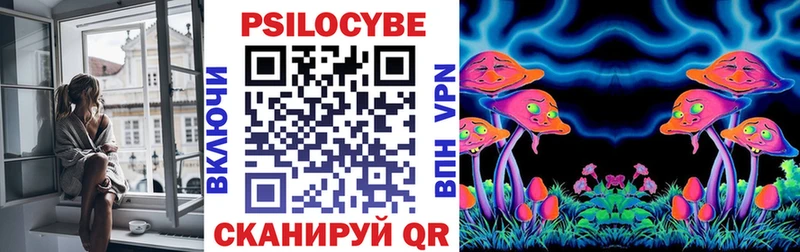 Купить где  Обнинск  Галлюциногенные грибы Psilocybine cubensis 