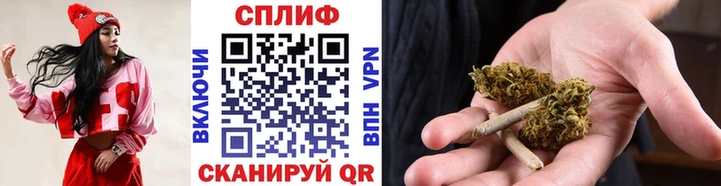 МАРИХУАНА сатива  Купить где  Обнинск 